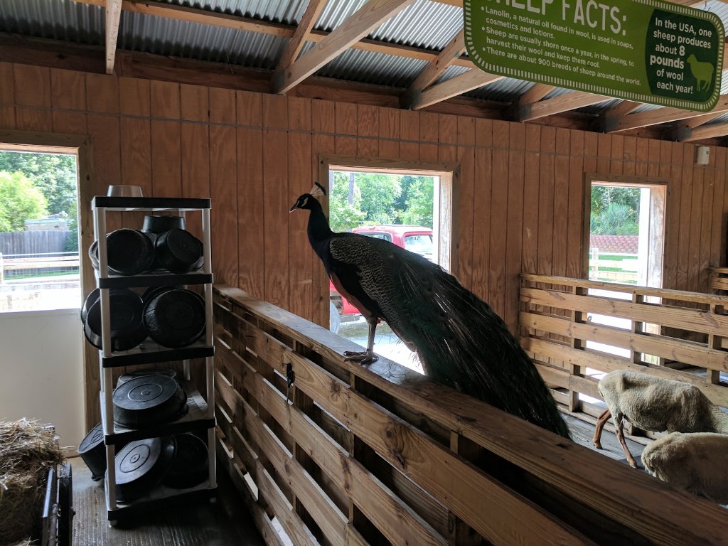 Greensboro Science Center, NC