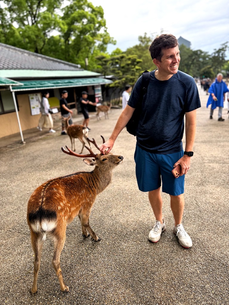 Deer park visit — Nara, Japan, 2026
